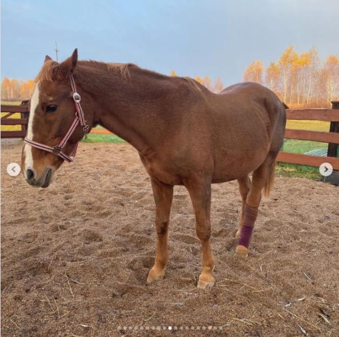 Katarzyna Dowbor, Rodezja