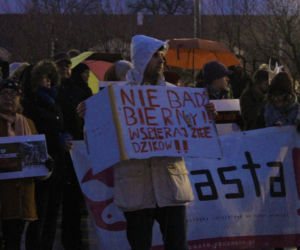 Szczecinianie protestowali przeciwko odstrzałowi dzików