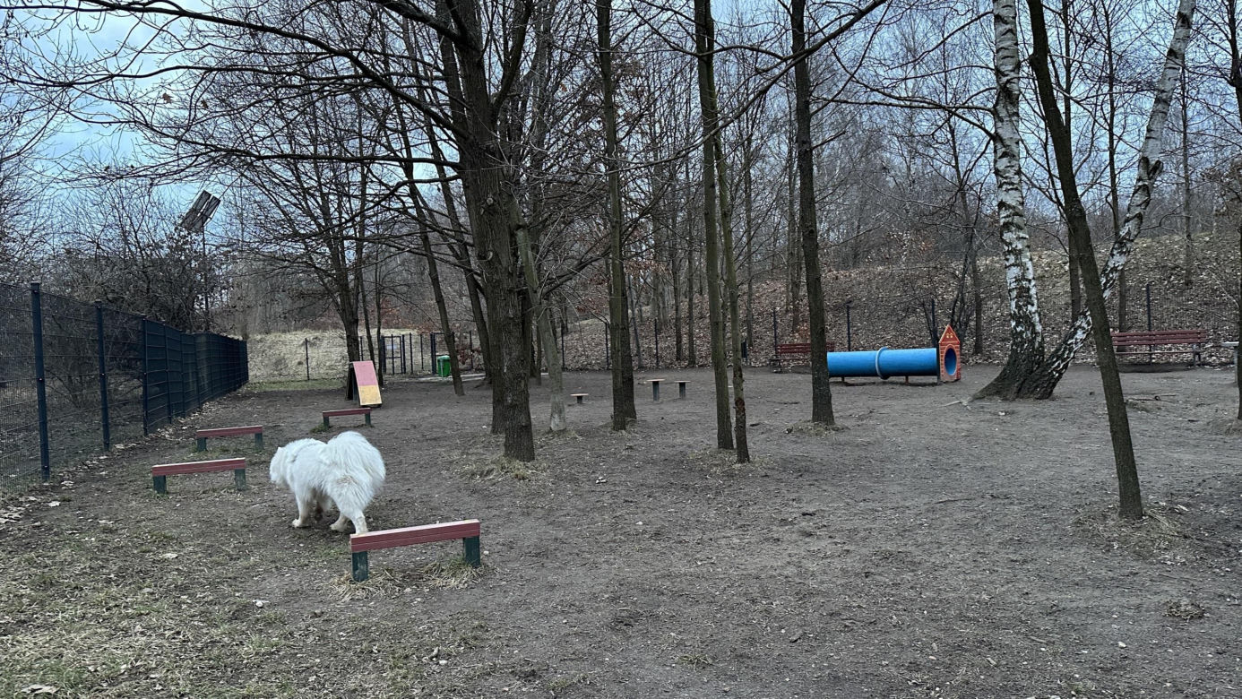 Psi park na ul. Augustów w Łodzi