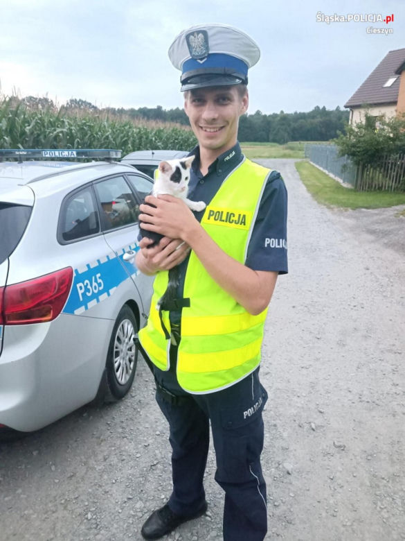 Maleństwo błąkało się po Wiślance. Przed śmiercią uratował go policjant