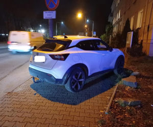 Miszczowie parkowania w Katowicach. Ich nikt tego nie nauczył