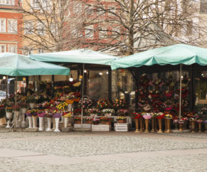 Nowe znaki  flowers & ride na pl. Solnym we Wrocławiu