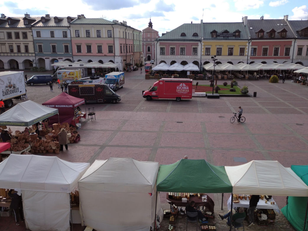 Grzybobranie lubelskie - naturalnie! Zamość 2023