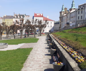 Przemyski Rynek ukwiecony na wiosnę