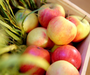 Idzie rewolucja w żywieniu. Rolnicy zarobią na kontraktach z 36 tys. stołówek