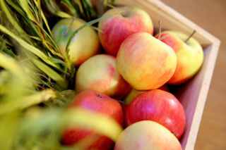 Idzie rewolucja w żywieniu. Rolnicy zarobią na kontraktach z 36 tys. stołówek