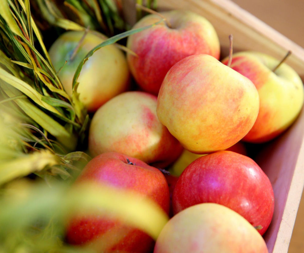 Idzie rewolucja w żywieniu. Rolnicy zarobią na kontraktach z 36 tys. stołówek