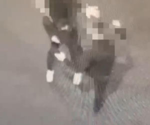 Brutalne pobicie w Nysie. Sprawcy nagrywali telefonami przebieg zdarzenia