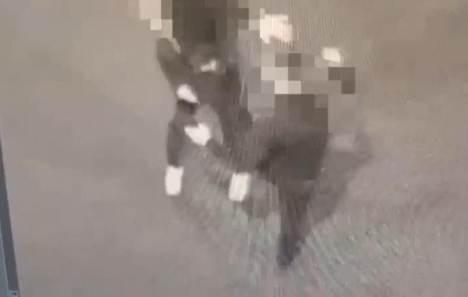Brutalne pobicie w Nysie. Sprawcy nagrywali telefonami przebieg zdarzenia