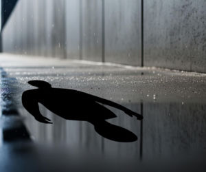 Matka zabiła córkę w ciąży. Prawda o ojcostwie zszokowała śledczych?