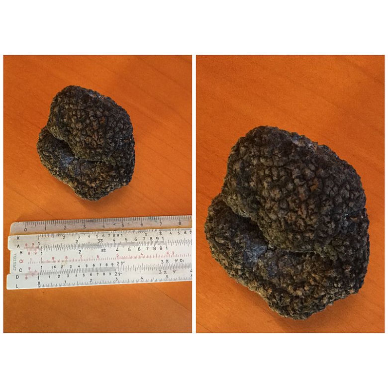 Trufla wgłębiona