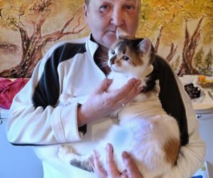 Watahy zdziczałych psów atakują wieś! Rozrywają koty, rzuciły się na dziecko!