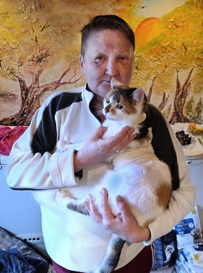 Watahy zdziczałych psów atakują wieś! "Rozrywają koty, rzuciły się na dziecko!