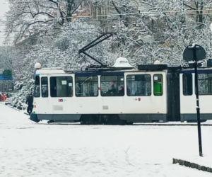 Pierwszy śnieg w Szczecinie