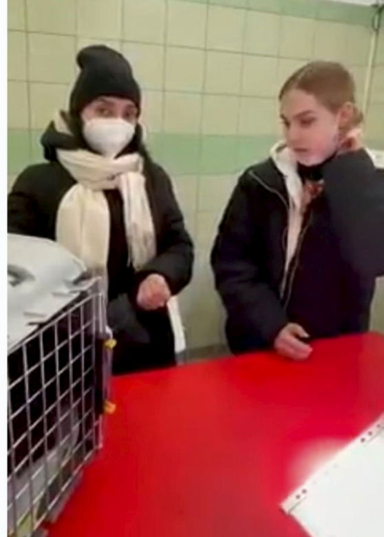 Kot chory przez wojnę