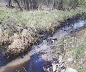 Spływy Czarną Hańczą bezpieczniejsze. Na rzece są już nowe umocnienia [ZDJĘCIA]