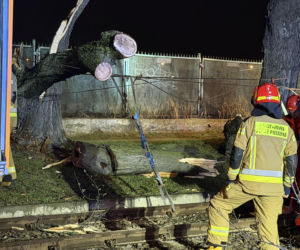 Powalone drzewa i awarie prądu w części województwa