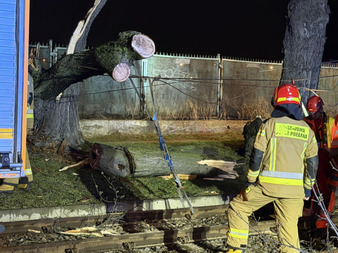 Powalone drzewa i awarie prądu w części województwa