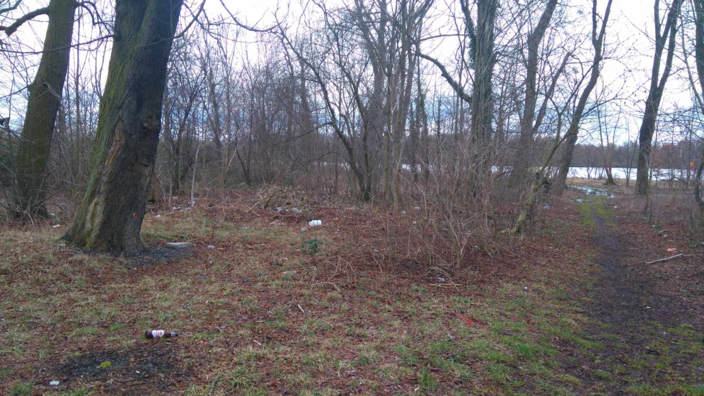 Nowy park powstanie na Gocławiu