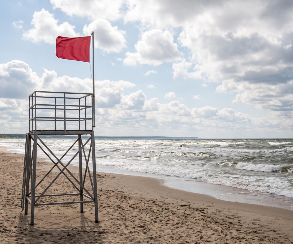 Sinice Gdańsk. Czy w Gdańsku można się kąpać 31.07? Flaga, warunki pogodowe