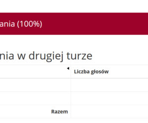 Wybory prezydenckie 2020. Wyniki w województwie warmińsko-mazurskim [POWIATY]