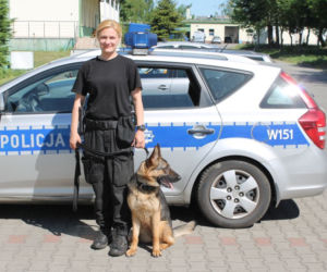 Dwa nowe psy w szczecińskiej policji