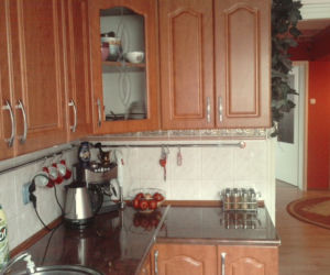 Zdjęcie 3968