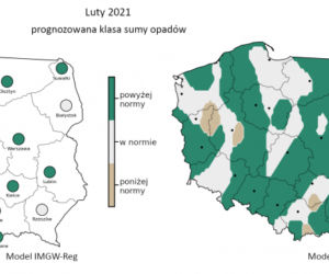 Jaka będzie zima 2020/2021? Czy spadnie śnieg? Prognozy są miażdżące. WAŻNY komunikat [PROGNOZA POGODY, MAPY, MIASTA, WOJEWÓDZTWA]