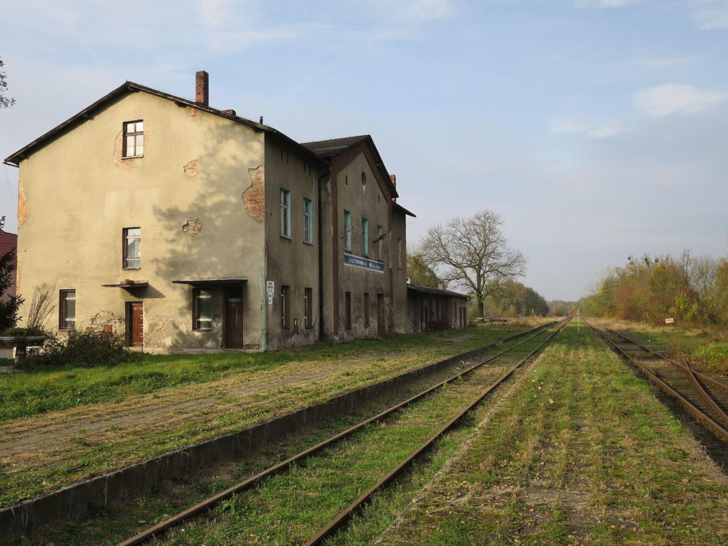 Tak wyglądają Pietrowice Wielkie