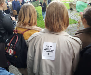 Młodzieżowy Strajk Klimatyczny w Nowym Sączu