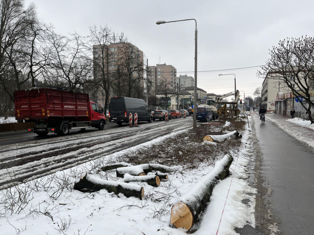 Wycinka drzew w Pruszkowie 