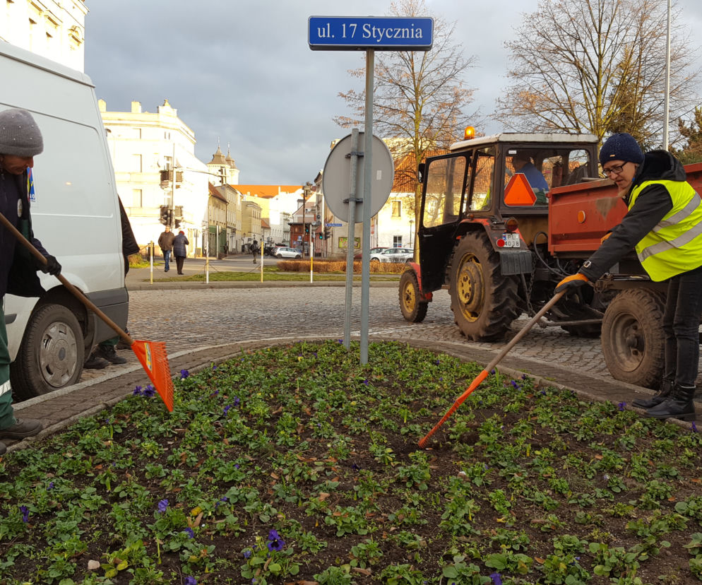 Za nieco ponad miesiąc wiosna! Na skwerach w Lesznie zaczęły się już pozimowe porządki
