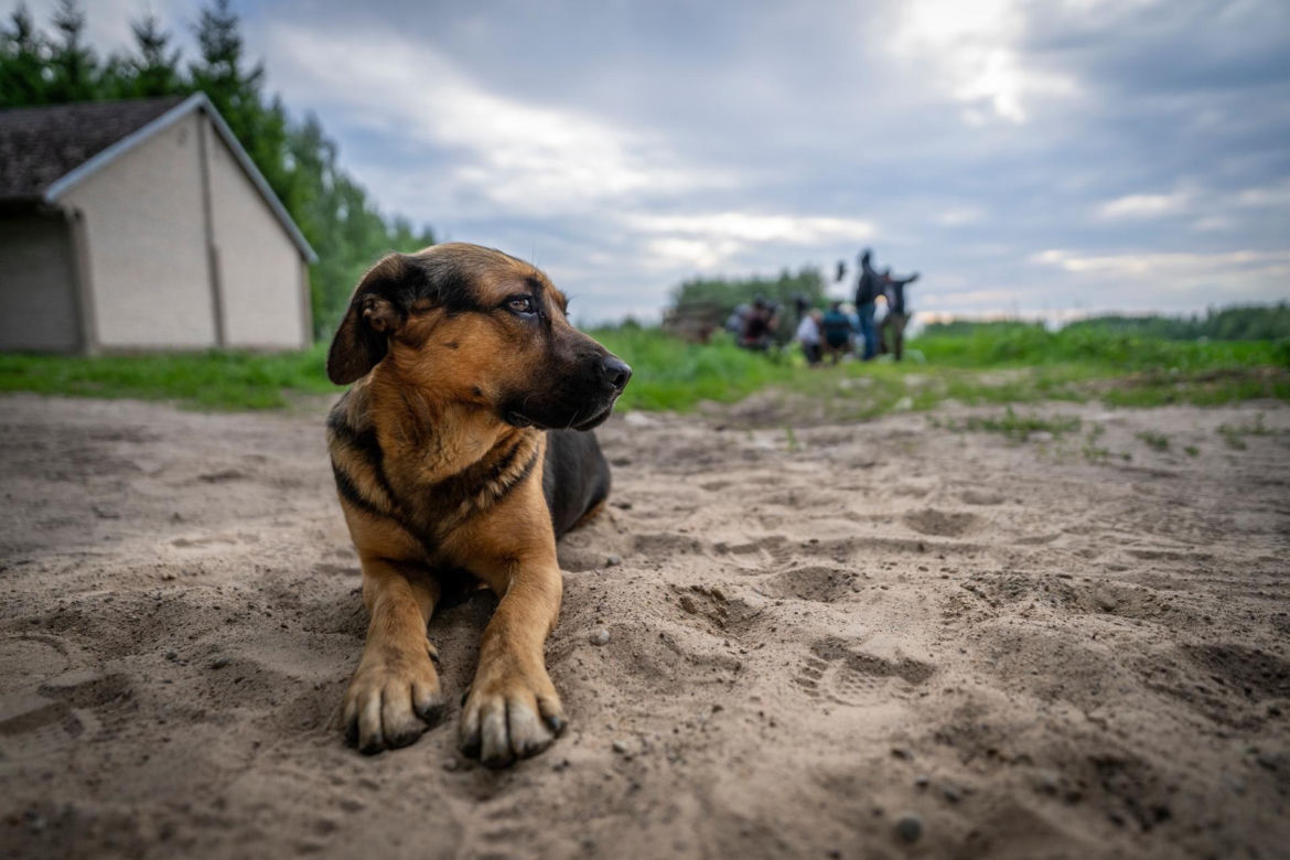 Takie urodziny wyprawiliśmy Gienkowi