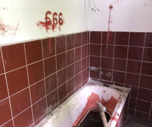 Scena jak z horroru w Sobótce! Martwy kot w wannie i mnóstwo krwi!