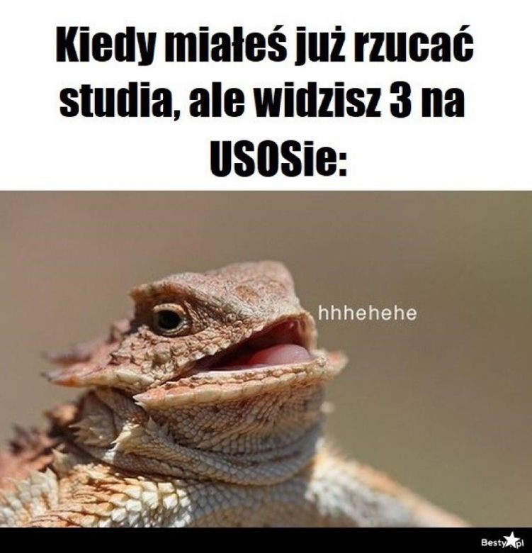 Tak studenci walczą o zaliczenie! Zobacz najlepsze MEMY o sesji!