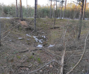 To na Podlasiu zmieniono losy II wojny światowej. Tam Armia Krajowa przejęła „cudowną broń” Hitlera i przekazała ją Brytyjczykom