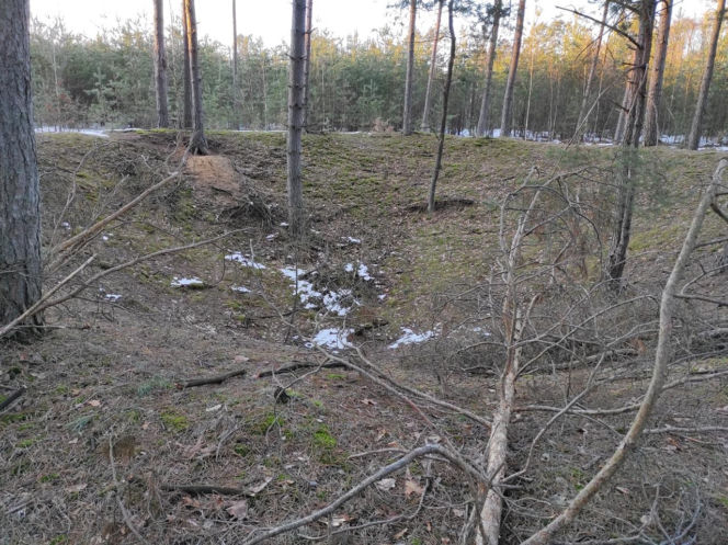 To na Podlasiu zmieniono losy II wojny światowej. Tam Armia Krajowa przejęła „cudowną broń” Hitlera i przekazała ją Brytyjczykom