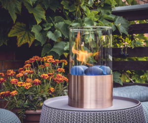Biokominek