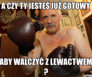 Memy z Korwin-Mikke