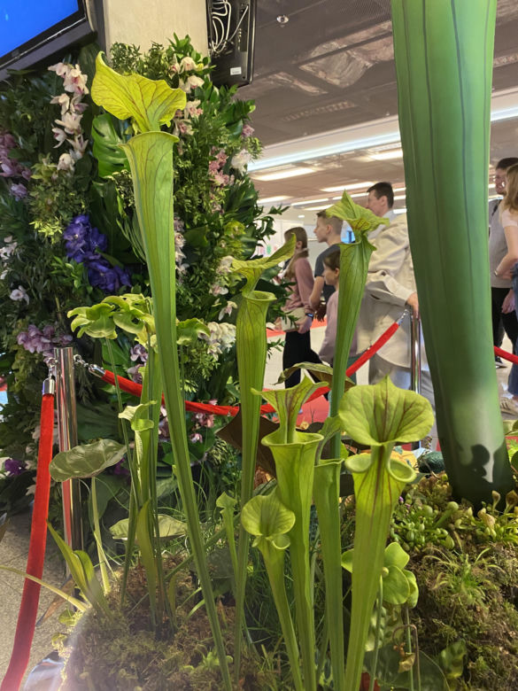 "Potworne Cuda", Światowa Wystawa Orchidei, Bonsai i Sukulentów oraz targi roślin na PGE Narodowym