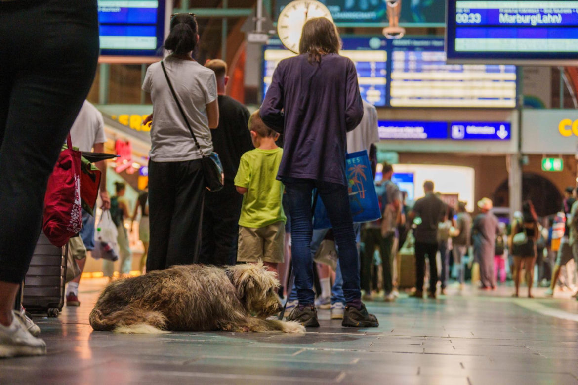 Niemcy/ Prezes Deutsche Bahn: ruch kolejowy stopniowo wraca do normy (opis) Awaria systemu łączności radiowej GSM-R wymusiła zatrzymanie wszystkich pociągów w całym kraju na czas ok. dwóch godzin