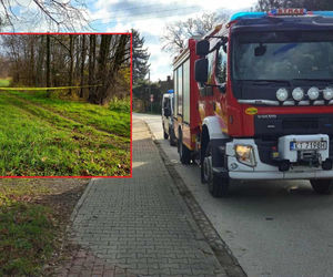 Ojciec całą noc szukał zaginionego syna. Rano dokonał przerażającego odkrycia w potoku