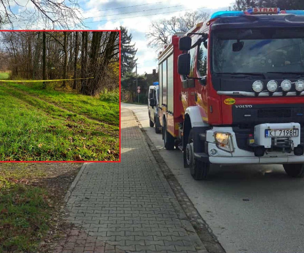 Ojciec całą noc szukał zaginionego syna. Rano dokonał przerażającego odkrycia w potoku