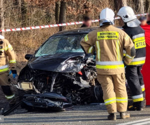 Wypadek na drodze wojewódzkiej nr 395 pod Ziębicami 