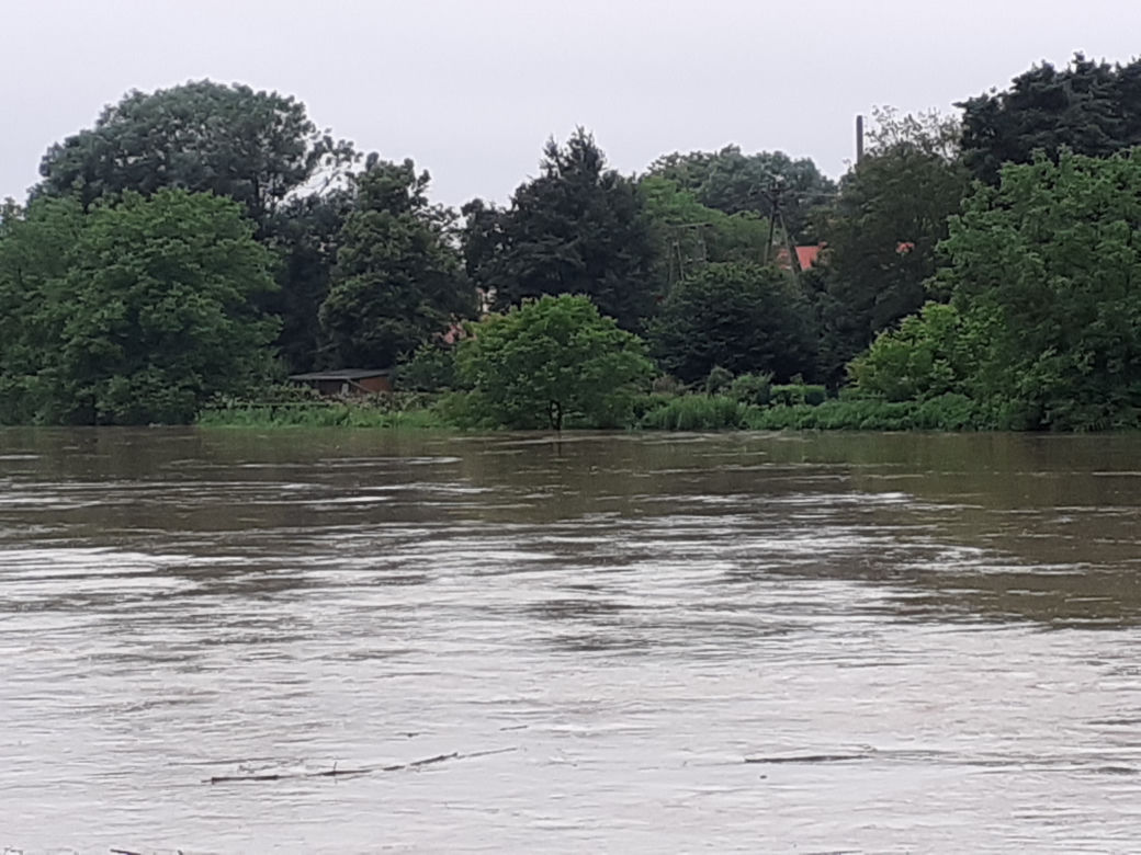 Przemyśl: San zalał ogródki działkowe i ścieżki rowerowe