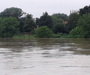 Przemyśl: San zalał ogródki działkowe i ścieżki rowerowe