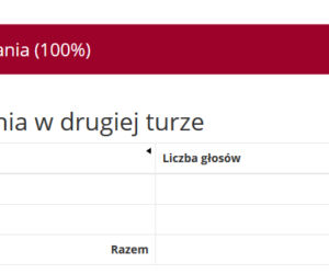 Jak głosowali mieszkańcy poszczególny miast i powiatów w Małopolsce w II turze?