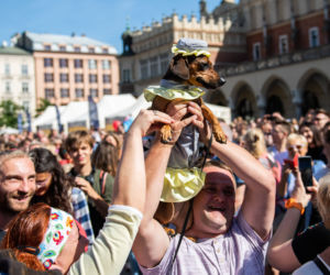 Marsz Jamników 2019 w Krakowie