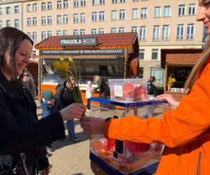 Jarmark Wielkanocny na placu Wolności