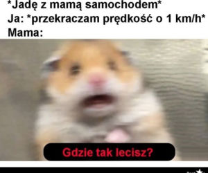 Memy o samochodach